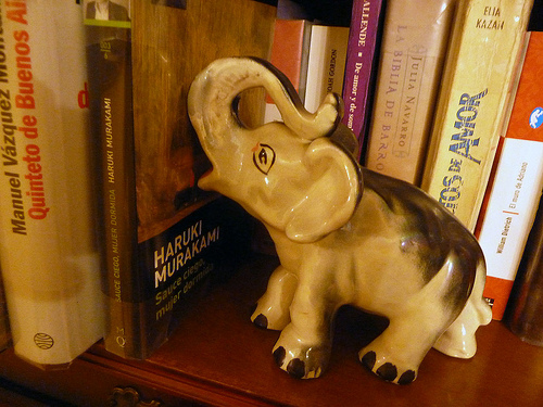 6982667785_f0cc95902f