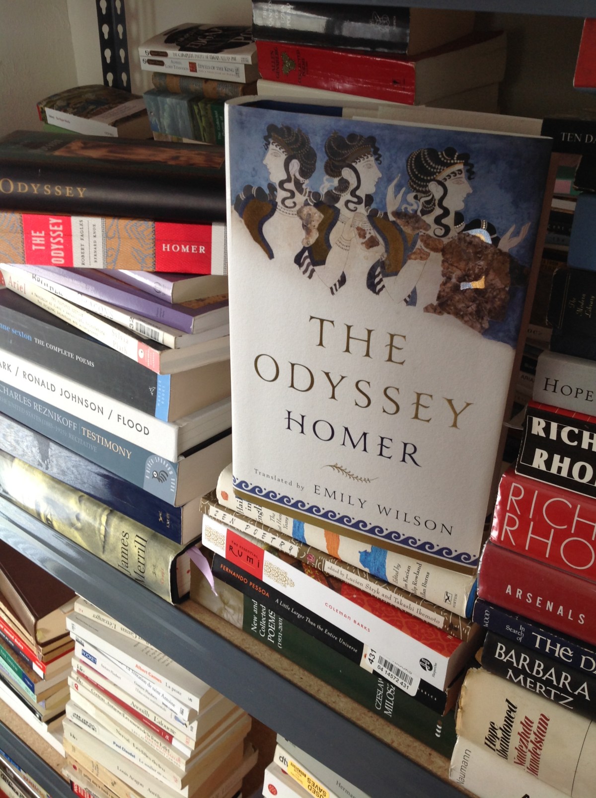 The Odyssey by Homer translated by Emily Wilson