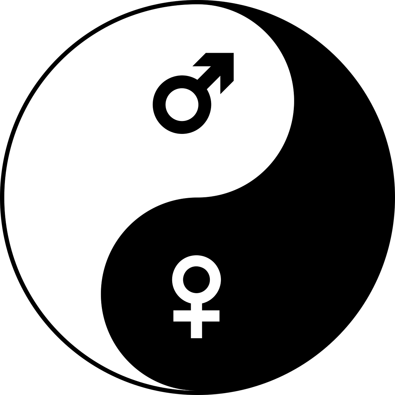 male/female yin and yang