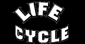 Life Cycle