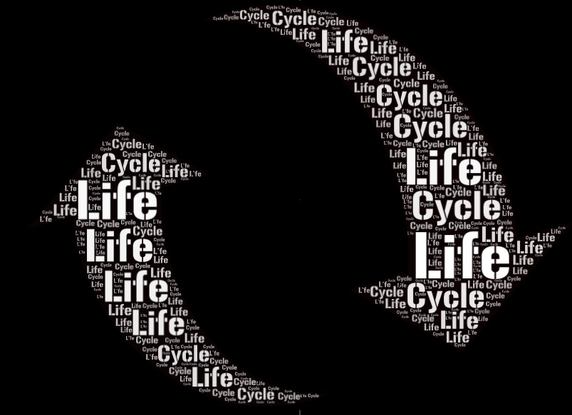Life Cycle