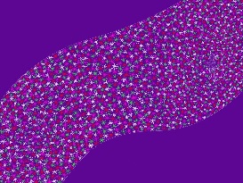 What Makes You You? Randal Eldon Greene July 15th