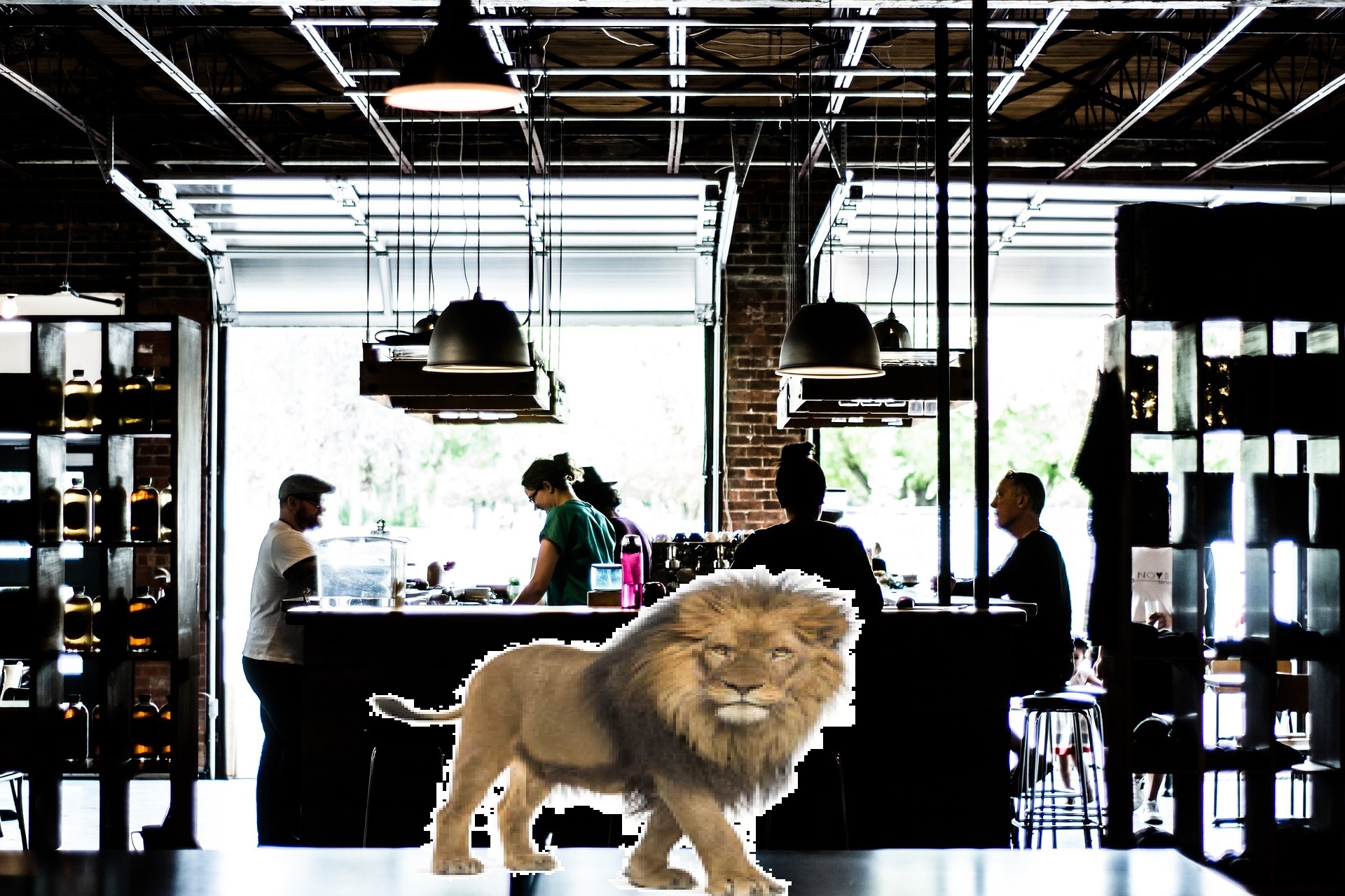 Lion in a Cafe