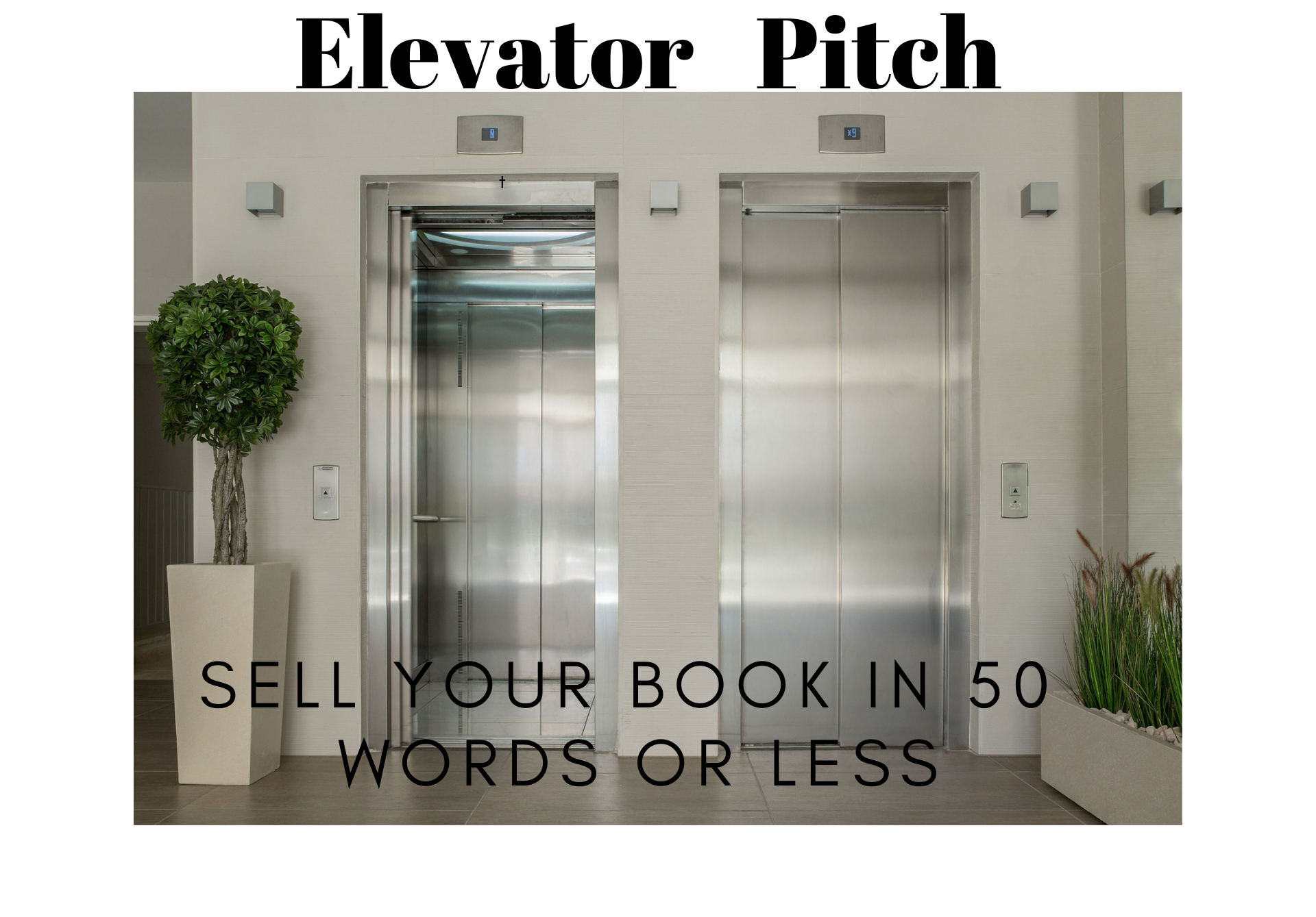 Elevator Pitch